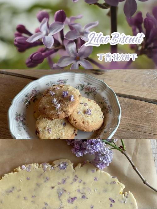用游览顺序写丁香花,丁香美食 生活指南 用游览顺序写丁香花,丁香美食 用游览顺序写丁香花,丁香美食 生活指南