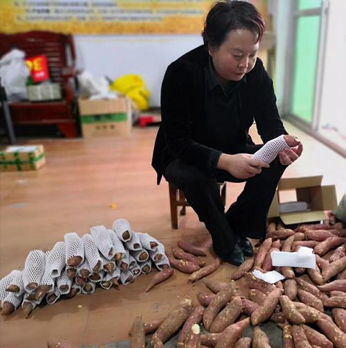 1斤红薯出多少红薯粉,槐树关在哪里 旅行资讯 1斤红薯出多少红薯粉,槐树关在哪里 1斤红薯出多少红薯粉,槐树关在哪里 旅行资讯