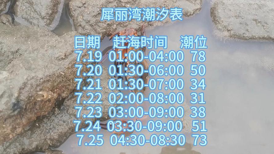 海南儋州赶海最佳地点排行榜,三亚赶海攻略 健康建议 海南儋州赶海最佳地点排行榜,三亚赶海攻略 海南儋州赶海最佳地点排行榜,三亚赶海攻略 健康建议