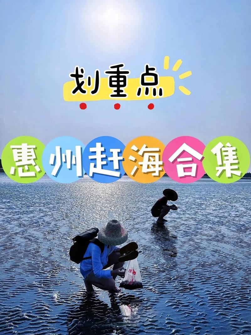 惠州早上退潮赶海的地方,惠州赶海攻略 健康建议 惠州早上退潮赶海的地方,惠州赶海攻略 惠州早上退潮赶海的地方,惠州赶海攻略 健康建议