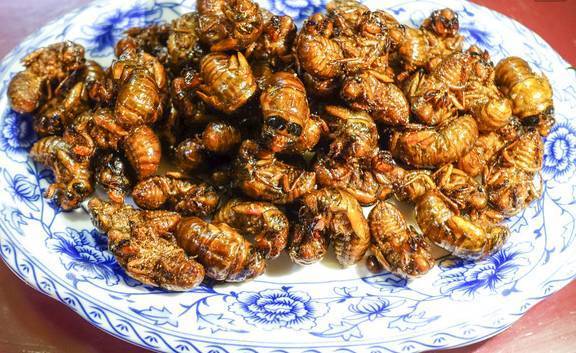 砀山四大硬菜排名,砀山特色美食小吃 健康建议 砀山四大硬菜排名,砀山特色美食小吃 砀山四大硬菜排名,砀山特色美食小吃 健康建议