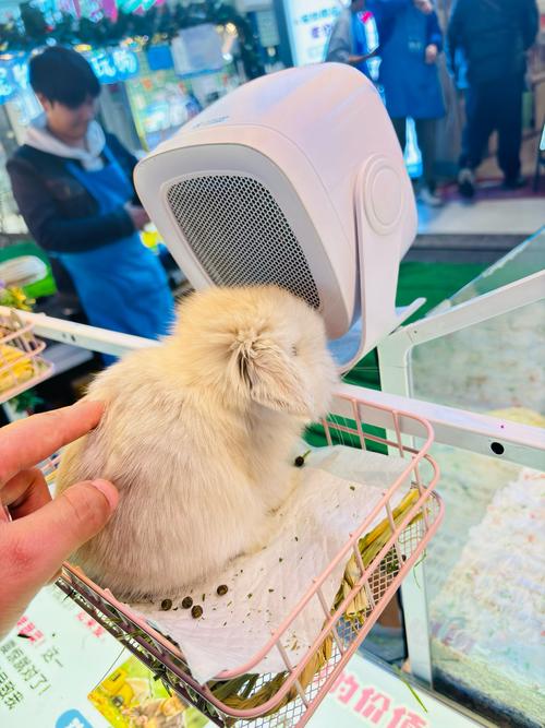 成都夜市小吃街人气排名,哪里小吃最有特色全国 健康建议 成都夜市小吃街人气排名,哪里小吃最有特色全国 成都夜市小吃街人气排名,哪里小吃最有特色全国 健康建议