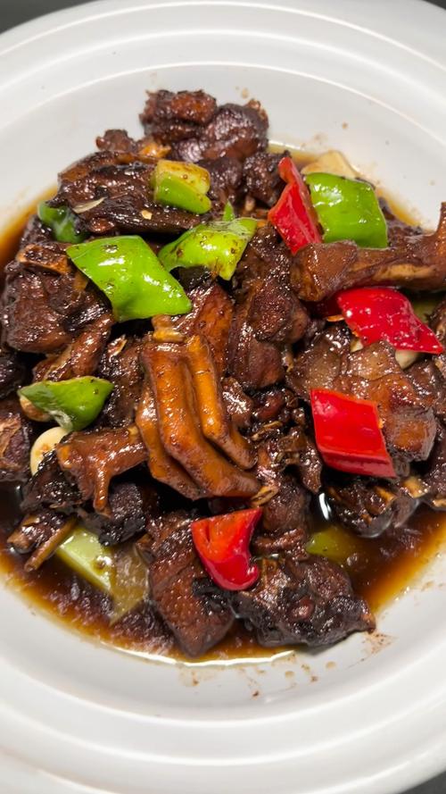 王刚美食红焖大鹅，大鹅菜品名称 王刚美食红焖大鹅，大鹅菜品名称 美食推荐