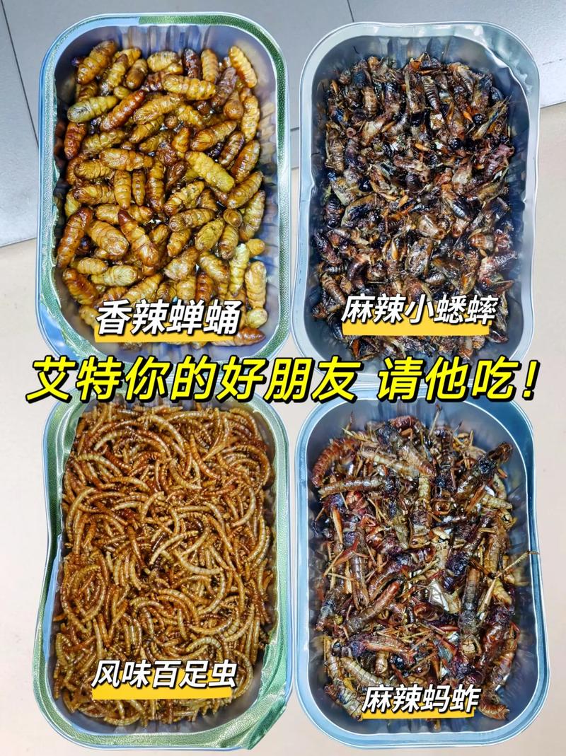 云南人喜欢吃各种虫子吗,蝉酱怎么制作 生活指南 云南人喜欢吃各种虫子吗,蝉酱怎么制作 云南人喜欢吃各种虫子吗,蝉酱怎么制作 生活指南