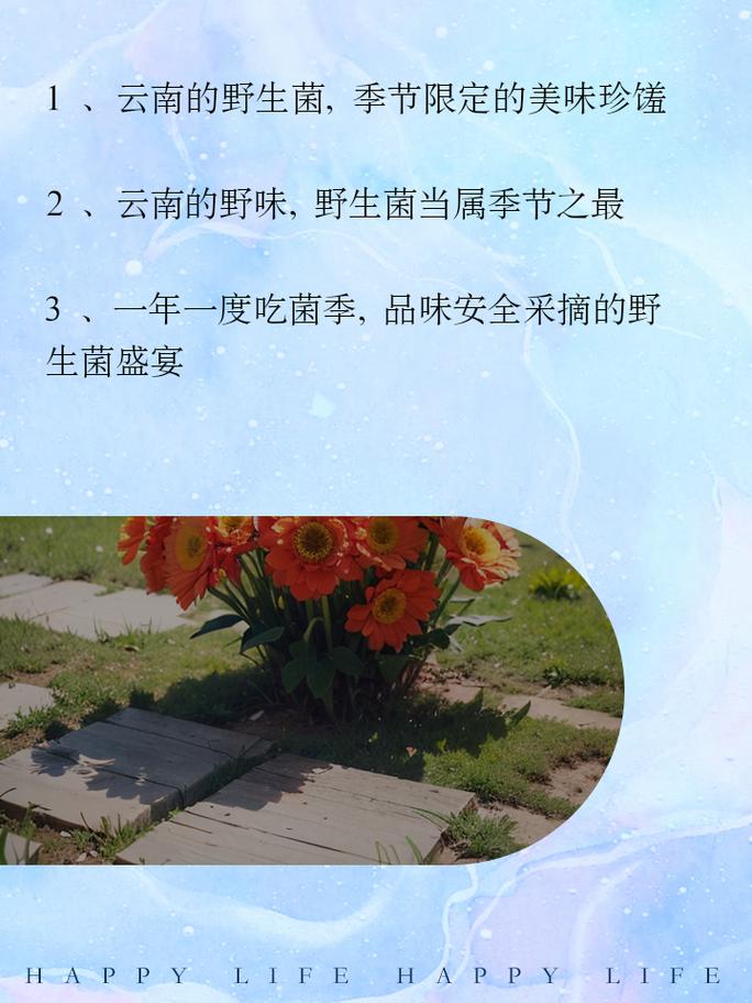 吃野生菌怎么发朋友圈文案,介绍井冈山美食 旅行资讯 吃野生菌怎么发朋友圈文案,介绍井冈山美食 吃野生菌怎么发朋友圈文案,介绍井冈山美食 旅行资讯